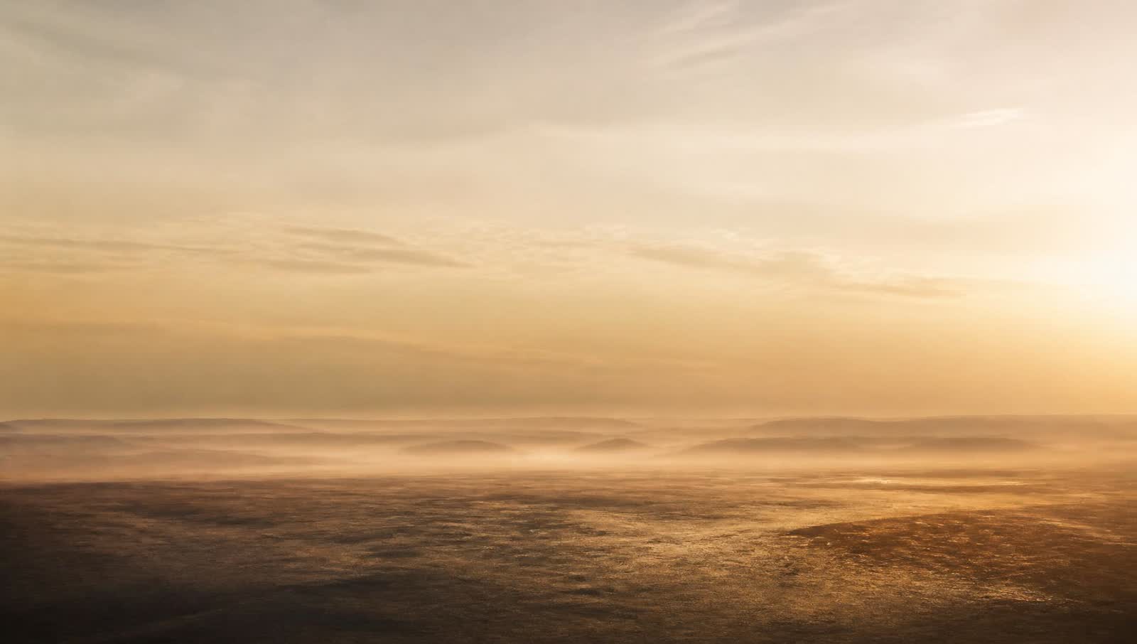 Editorial interlude — abstract image marking the transition between disciplines